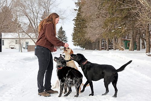 26022026
Sarah Mills, owner of Forrest River Canines, feeds her dogs treats at her boarding, grooming and training facility north of Forrest, Manitoba in February. Mills and her dogs will be performing as part of the Canine Circus at the 2026 Royal Manitoba Winter Fair. 
(Tim Smith/The Brandon Sun)