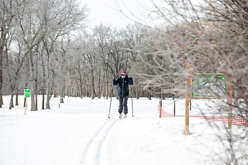 MIKAELA MACKENZIE / FREE PRESS
Christine Valk enjoys the Wildwood cross-country ski trails on Friday, March 6, 2026.
Standup.
Free Press 2026