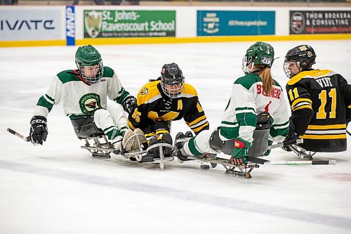 BROOK JONES/FREE PRESS
Team Manitoba Para Hockey star Alyssa White (No. 15), who is also a member of Team Canada, battles for the puck against the Minnesota Wild at Hockey for All Centre in Winnipeg, Man.. Friday, March 6, 2026. Team Manitoba is hosting Minnesota this weekend, March 6 to 8, in the Cross Border Classic three-game series.