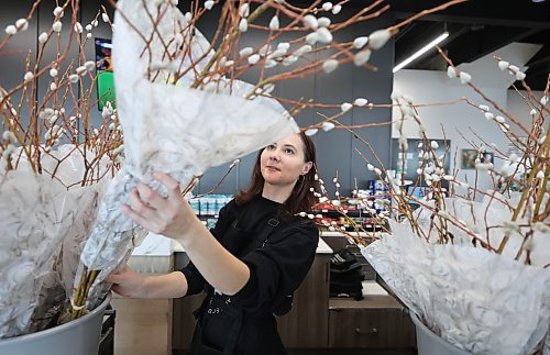 Ruth Bonneville  Free Press 

Standup Pussy Willow Season

Anna Jaworski, a cashier at De Luca’s Speciality Foods on McGillivray,  goes through a new shipment of wrapped Pussy Willows that the store received for the first time this season Wednesday.

Pussy willows are typically in season during late winter to early spring, through March or early April. They are among the first flowers to bloom, signaling the end of winter, and are often harvested just before the silver catkins fully open and turn yellow with pollen.

March 18th,, 2026
