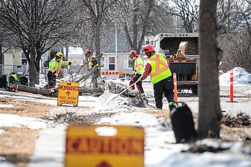 MIKAELA MACKENZIE / FREE PRESS
	
The city takes down ash trees affected by an emerald ash borer beetle outbreak on Overton Street near the Glenwood Community Centre on Thursday, April 2, 2026. 

For — story.
Free Press 2026