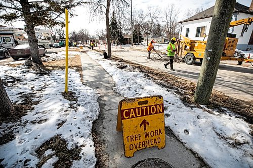 MIKAELA MACKENZIE / FREE PRESS
The city takes down ash trees affected by an emerald ash borer beetle outbreak on Overton Street near the Glenwood Community Centre on Thursday, April 2, 2026.
For — story.
Free Press 2026