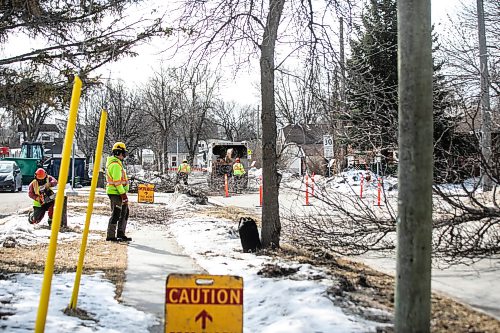 MIKAELA MACKENZIE / FREE PRESS
	
The city takes down ash trees affected by an emerald ash borer beetle outbreak on Overton Street near the Glenwood Community Centre on Thursday, April 2, 2026. 

For — story.
Free Press 2026