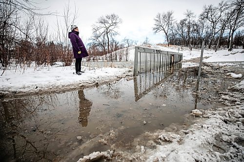 MIKAELA MACKENZIE / FREE PRESS
	
Sally Ito checks out the flooded pedestrian bridge at Omandճ Park on Wednesday, April 8, 2026.

Standup.
Free Press 2026