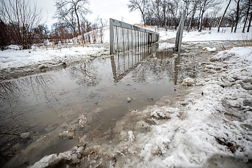 MIKAELA MACKENZIE / FREE PRESS
Omand’s Creek floods the pedestrian bridge on Wednesday, April 8, 2026.
Standup.
Free Press 2026