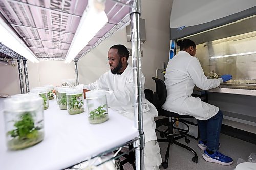 Ruth Bonneville  Free Press

BIZ - GeneNeer

Photo of Dr. Jay Isaac and Dr. Carol Bvindi, working in the lab at GeneNeer at Albrechtsen Research Centre. 

This is for a biz article  by Aaron

April 8th,  2026
