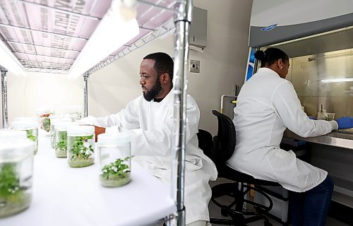 Ruth Bonneville  Free Press

BIZ - GeneNeer

Photo of Dr. Jay Isaac and Dr. Carol Bvindi, working in the lab at GeneNeer at Albrechtsen Research Centre. 

This is for a biz article  by Aaron

April 8th,  2026
