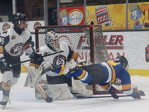 Brayden Andries (12) of the Yellowhead Chiefs trips on his own stick and falls while attempting to bang home a rebound in front of the net against the Wheatland Wild during round-robin action in the AAA Hockey Challenge 2012 Silver age category at Assiniboine Credit Union Place on Friday night. The Chiefs won 3-2. (Massimo De Luca-Taronno/The Brandon Sun)