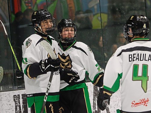 Jaxsen Walter (11) celebrates with teammates Cole Shore (29) and Bryn Beaulac (4) after scoring in the first period to put the Jr. Raiders up 2-0 against the Southeast Blades in the AAA Hockey Challenge 2012 Silver age category at J&G Homes Arena Friday evening. The Raiders won 10-6. (Massimo De Luca-Taronno/The Brandon Sun)