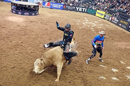 Jeremy Maisonneuve of Quebec takes his turn atop a bull. (Tim Smith/The Brandon Sun)