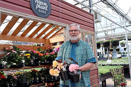 Colleen Zacharias / Free Press
Rodney Wohlgemuth, owner of Green Oak Gardens in Beausejour, loves to grow begonias.