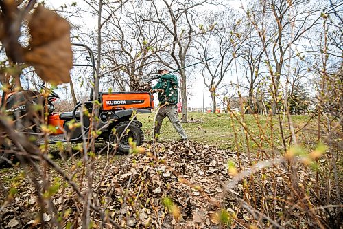 MIKAELA MACKENZIE / FREE PRESS
	
Mike Cascagnette, with Parks Canada maintenance, does some spring cleanup as buds start to leaf out on the bushes  nearby at The Forks on Monday, May 11, 2026.

Standup.
Free Press 2026