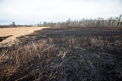 MIKAELA MACKENZIE / FREE PRESS
Charred grass marks where a fire burned at the northeast corner of Sturgeon Road and Silver Avenue in Winnipeg on Monday, April 21, 2025.
Standup.
Winnipeg Free Press 2025