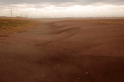 Top soil from a field bordering Highway 250 southwest of Rivers accumulates in the ditch as intense winds continue to blow across Westman on Friday. (Tim Smith/The Brandon Sun)
