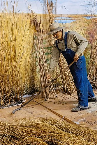 MIKE DEAL / FREE PRESS
The Manitoba Museum is in the process of taking down the Delta Marsh and Rye Farm diorama because along with wear-and-tear it has become difficult to maintain due to the presence of pests that are proving difficult to remove.
260521 - Thursday, May 21, 2026.