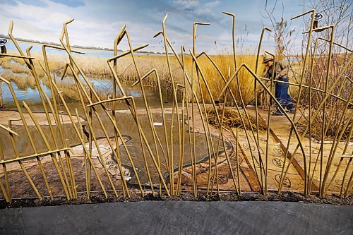 MIKE DEAL / FREE PRESS
The Manitoba Museum is in the process of taking down the Delta Marsh and Rye Farm diorama because along with wear-and-tear it has become difficult to maintain due to the presence of pests that are proving difficult to remove.
260521 - Thursday, May 21, 2026.