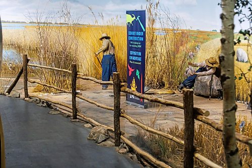 MIKE DEAL / FREE PRESS
The Manitoba Museum is in the process of taking down the Delta Marsh and Rye Farm diorama because along with wear-and-tear it has become difficult to maintain due to the presence of pests that are proving difficult to remove.
260521 - Thursday, May 21, 2026.