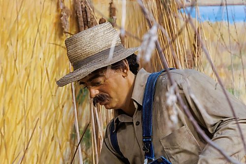 MIKE DEAL / FREE PRESS
The Manitoba Museum is in the process of taking down the Delta Marsh and Rye Farm diorama because along with wear-and-tear it has become difficult to maintain due to the presence of pests that are proving difficult to remove.
260521 - Thursday, May 21, 2026.