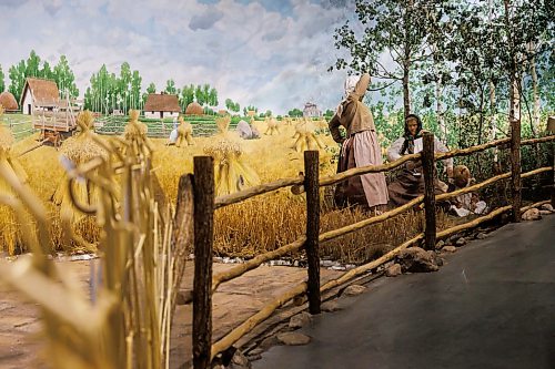 MIKE DEAL / FREE PRESS
The Manitoba Museum is in the process of taking down the Delta Marsh and Rye Farm diorama because along with wear-and-tear it has become difficult to maintain due to the presence of pests that are proving difficult to remove.
260521 - Thursday, May 21, 2026.