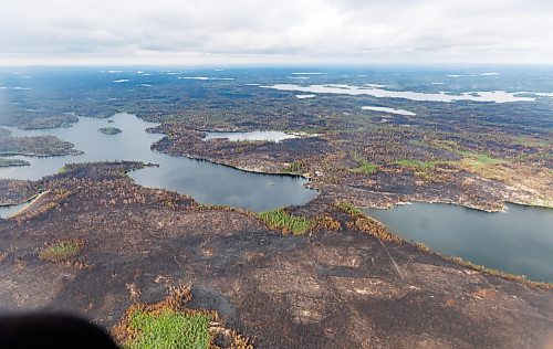 Trees burned by wildfires in northern Manitoba are shown during a helicopter tour in the surrounding area of Flin Flon last June. (Mike Deal/Winnipeg Free Press files)