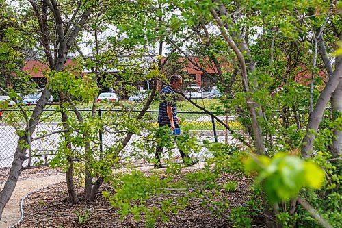 MIKE DEAL / FREE PRESS
Noah Erenberg. Senior Grants Officer, The Winnipeg Foundation, takes a stroll through the ACCESS Fort Garry Therapeutic Garden just before its grand opening ceremony at 135 Plaza Drive Friday. 
Standup
260529 - Friday, May 29, 2026.