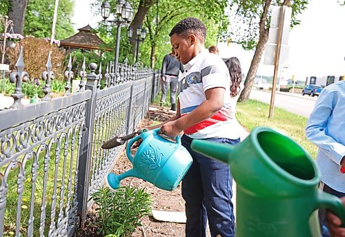 02062026
Godswealth Roberts, a grade three student in Angela Wilson’s grade two/three class at Betty Gibson School waters a freshly planted flower as he and classmates plant in the children’s garden bordering 18th Street at the Daly House Museum on Tuesday. Three groups of students from Betty Gibson are planting at the Daly House this week. Betty Gibson Building Student Success with Indigenous Parents (BSSIP) Worker Vanessa Pascal organized the planting for the classes, which is in its fourth year.
(Tim Smith/The Brandon Sun)