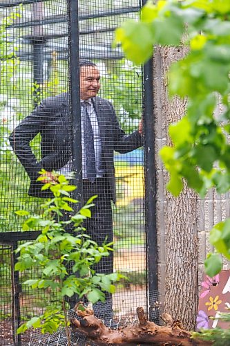 MIKE DEAL / FREE PRESS
Premier Wab Kinew was on hand to help release Lumi the Lynx into her inclosure at the Assiniboine Park Zoo Wednesday morning.
The province has provided some funding for the rehabilitation of the rescued lynx.
Reporter: Erik Pindera
260603 - Wednesday, June 03, 2026.