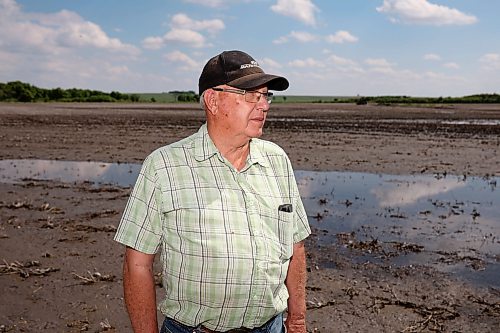 05062026
Lifelong farmer Stan Cochrane looks over one of his fields bordering the Assiniboine River east of Sioux Valley Dakota Nation on Friday afternoon. Approximately 500 acres of Cochrane’s land is still wet with puddles after being flooded for a few weeks by the rise in the Assiniboine River level caused when water was released from the Shellmouth Reservoir up river in Saskatchewan. Cochrane needs the land to dry up enough so that he can finish seeding. (Tim Smith/The Brandon Sun)