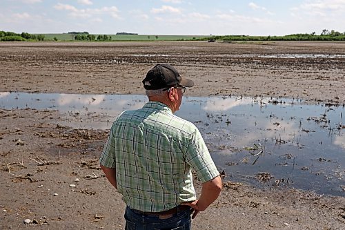 05062026
Lifelong farmer Stan Cochrane looks over one of his fields bordering the Assiniboine River east of Sioux Valley Dakota Nation on Friday afternoon. Approximately 500 acres of Cochrane’s land is still wet with puddles after being flooded for a few weeks by the rise in the Assiniboine River level caused when water was released from the Shellmouth Reservoir up river in Saskatchewan. Cochrane needs the land to dry up enough so that he can finish seeding. (Tim Smith/The Brandon Sun)