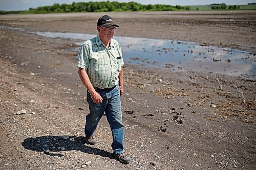 05062026
Lifelong farmer Stan Cochrane looks over one of his fields bordering the Assiniboine River east of Sioux Valley Dakota Nation on Friday afternoon. Approximately 500 acres of Cochrane’s land is still wet with puddles after being flooded for a few weeks by the rise in the Assiniboine River level caused when water was released from the Shellmouth Reservoir up river in Saskatchewan. Cochrane needs the land to dry up enough so that he can finish seeding. (Tim Smith/The Brandon Sun)