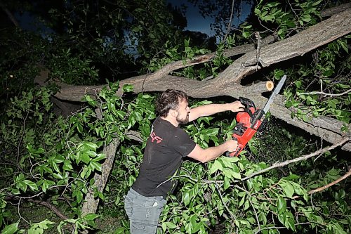09062026
Brandonite Nick Duval uses a chainsaw to cut away branches on a tree that fell and blocked the southbound lanes of 18th Street just south of Rosser Avenue during Tuesday evening’s storm. Duval was driving by and pulled over and volunteered to help clear the street along with Brandon Police Service officers.
(Tim Smith/The Brandon Sun)