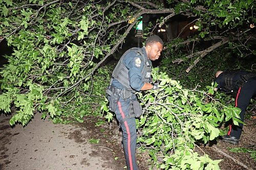 09062026
Brandon Police Service members work to remove tree branches from the southbound lanes of 18th Street just south of Rosser Avenue after a tree fell blocking the lanes during Tuesday evening’s storm.
(Tim Smith/The Brandon Sun)