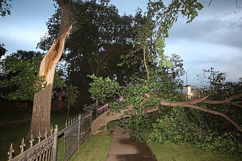09062026
A fallen tree blocks the southbound lanes of 18th Street just south of Rosser Avenue during Tuesday evening’s storm.
(Tim Smith/The Brandon Sun)