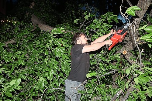 09062026
Brandonite Nick Duval uses a chainsaw to cut away branches on a tree that fell and blocked the southbound lanes of 18th Street just south of Rosser Avenue during Tuesday evening’s storm. Duval was driving by and pulled over and volunteered to help clear the street along with Brandon Police Service officers.
(Tim Smith/The Brandon Sun)