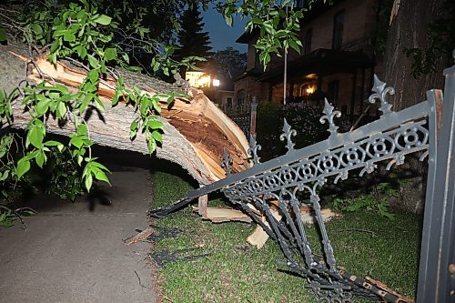 09062026
A fallen tree blocks the southbound lanes of 18th Street just south of Rosser Avenue during Tuesday evening’s storm.
(Tim Smith/The Brandon Sun)