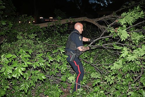 09062026
Brandon Police Service members work to remove tree branches from the southbound lanes of 18th Street just south of Rosser Avenue after a tree fell blocking the lanes during Tuesday evening’s storm.
(Tim Smith/The Brandon Sun)