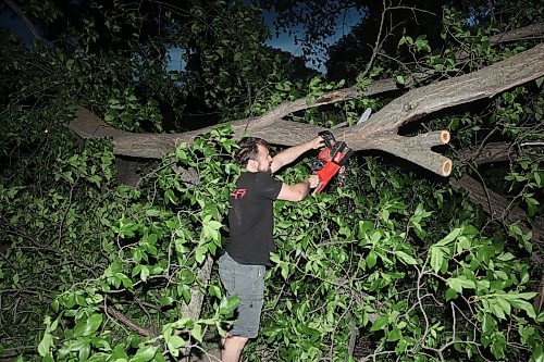 09062026
Brandonite Nick Duval uses a chainsaw to cut away branches on a tree that fell and blocked the southbound lanes of 18th Street just south of Rosser Avenue during Tuesday evening’s storm. Duval was driving by and pulled over and volunteered to help clear the street along with Brandon Police Service officers. 
(Tim Smith/The Brandon Sun)