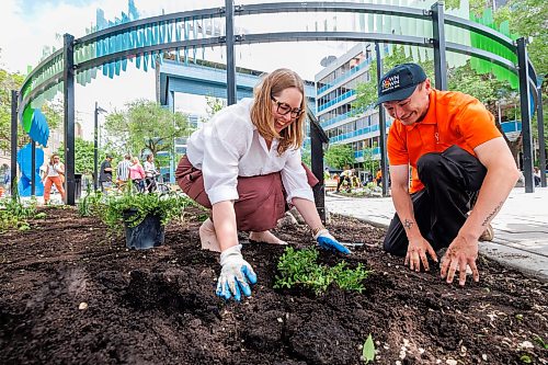 MIKE DEAL / FREE PRESS
Kate Fenske, CEO, Downtown Winnipeg BIZ and Maverick Dysart plant a Uva Ursi or Bearberry plant in the garden after the grand re-opening of Air Canada Window Park.
Mayor Scott Gillingham along with Kate Fenske, CEO, Downtown Winnipeg BIZ along with other project partners and community members gathered to celebrate the reopening of Air Canada Window Park (355 Portage Ave.) in Downtown Winnipeg Wednesday morning.
260610 - Wednesday, June 10, 2026.
