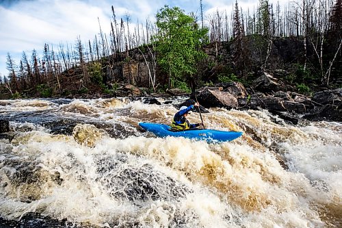 MIKAELA MACKENZIE / FREE PRESS
Steven Walker paddles a rapid on the lower Bird River on Tuesday, June 16, 2026.
For photo page.
Free Press 2026