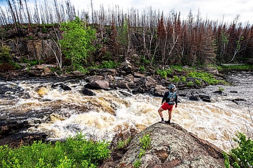 MIKAELA MACKENZIE / FREE PRESS
	
Garrett Fache scopes out a rapid on the lower Bird River, which burned in a massive wildfire last year, on Tuesday, June 16, 2026.

For photo page.
Free Press 2026