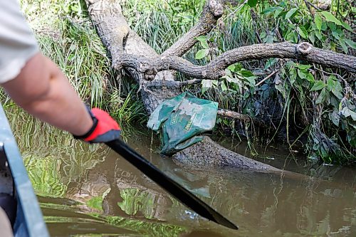 MIKE DEAL / FREE PRESS
Nastassja Loiselle, Lead Hand with the Save Our Seine cleanup crew, paddles towards a tree that has fallen into the river and snagged some garbage Thursday morning. The crew of usually three is out most nice days paddling their way along the Seine River filling up their canoe with heaps of garbage. The portion of the Seine River in the city they are charged with protecting is about 26kms long and they will cover that distance at least four times during the next few months removing garbage and making sure the river is kept as healthy as possible.
Every day they are in the river they collect about truck load of garbage, sometimes two loads depending on the stretch of the river they are canoeing that day.
260618 - Thursday, June 18, 2026.
