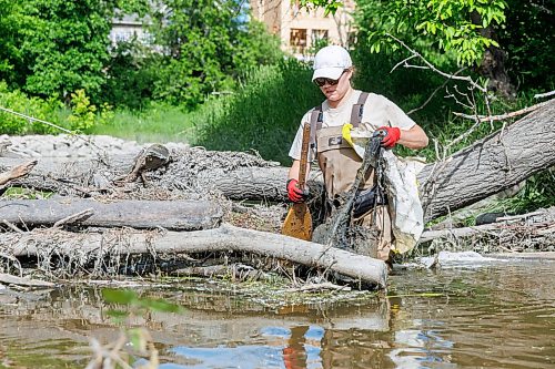 MIKE DEAL / FREE PRESS
Nastassja Loiselle, Lead Hand with the Save Our Seine cleanup crew, gets out of the canoe to pick up some trash caught in a tree Thursday morning. The crew of usually three is out most nice days paddling their way along the Seine River filling up their canoe with heaps of garbage. The portion of the Seine River in the city they are charged with protecting is about 26kms long and they will cover that distance at least four times during the next few months removing garbage and making sure the river is kept as healthy as possible..