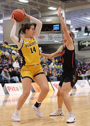 Brandon University Bobcats forward Renee Dauphinais looks to pass the ball around Milica Gajic of the University of Calgary Dinos last season. (Tim Smith/The Brandon Sun)