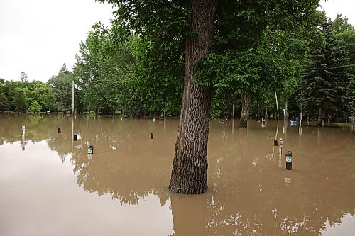 02072026
Flooding in is seen along the Vermillion river at the Vermillion Park Campground on Thursday, after heavy rains inundated Dauphin earlier in the week.
(Tim Smith/The Brandon Sun)