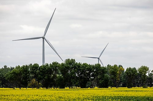 MIKAELA MACKENZIE / FREE PRESS
	
Wind turbines in southern Manitoba on Thursday, July 2, 2026. 

For — story.
Free Press 2026