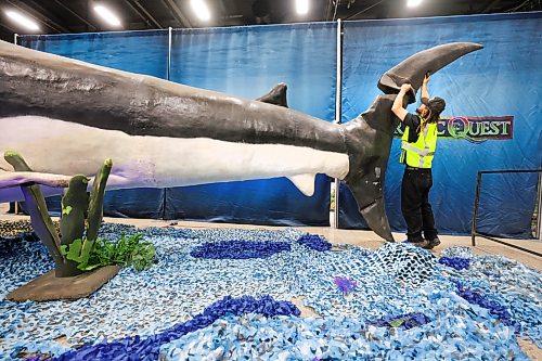 Ruth Bonneville / Free Press

Standup Jurassic Quest

Marcellus Dunn, an operational lead with Jurassic Quest, fixes the tail on a giant shark in the ancient oceans exhibit just prior to the doors opening Friday. 

Jurassic Quest is an immersive featuring over 100 life-sized, photorealistic animatronic dinosaurs alongside interactive activities like fossil digs, dinosaur rides, and themed bounce houses for all ages.  The event runs from July 3-5 at the RBC Convention Centre

July 3rd,  2026