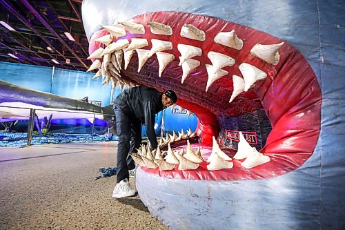 Ruth Bonneville / Free Press
Standup Jurassic Quest
Marcellus Dunn, who’s part of the set-up and customer service team with Jurassic Quest, makes sure the mouth of the giant shark that kids can play in is clean just prior to the doors opening Friday.
Jurassic Quest is an immersive featuring over 100 life-sized, photorealistic animatronic dinosaurs alongside interactive activities like fossil digs, dinosaur rides, and themed bounce houses for all ages. The event runs from July 3-5 at the RBC Convention Centre
July 3rd, 2026