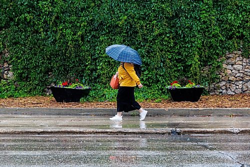 MIKE DEAL / FREE PRESS
Umbrellas were deployed against the wet weather for Monday morning commuters in downtown Winnipeg.
Standup
260706 - Monday, July 06, 2026.