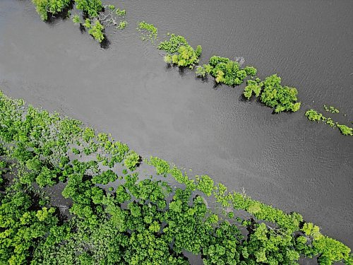 09072026
Water from the swollen Assiniboine River covers land near Highway 21 south of Sioux Valley Dakota Nation on Thursday. The section of the highway through the river valley is currently closed due to the flooding. 
(Tim Smith/The Brandon Sun)