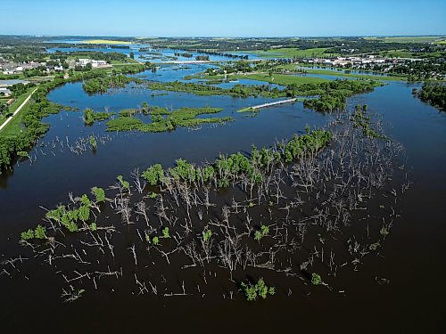 12072026
Flood water from the Assiniboine River much of the land adjacent to the river through Brandon on Sunday. (Tim Smith/The Brandon Sun)